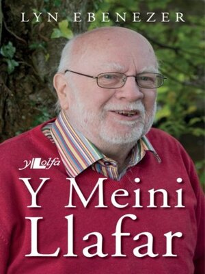 cover image of Meini Llafar